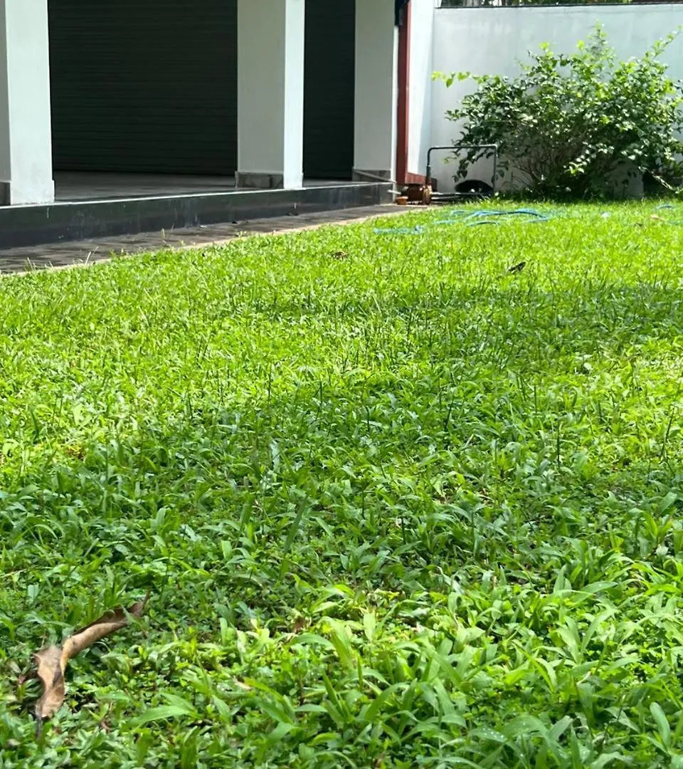 Kevzz Villa Negombo Kadirana North